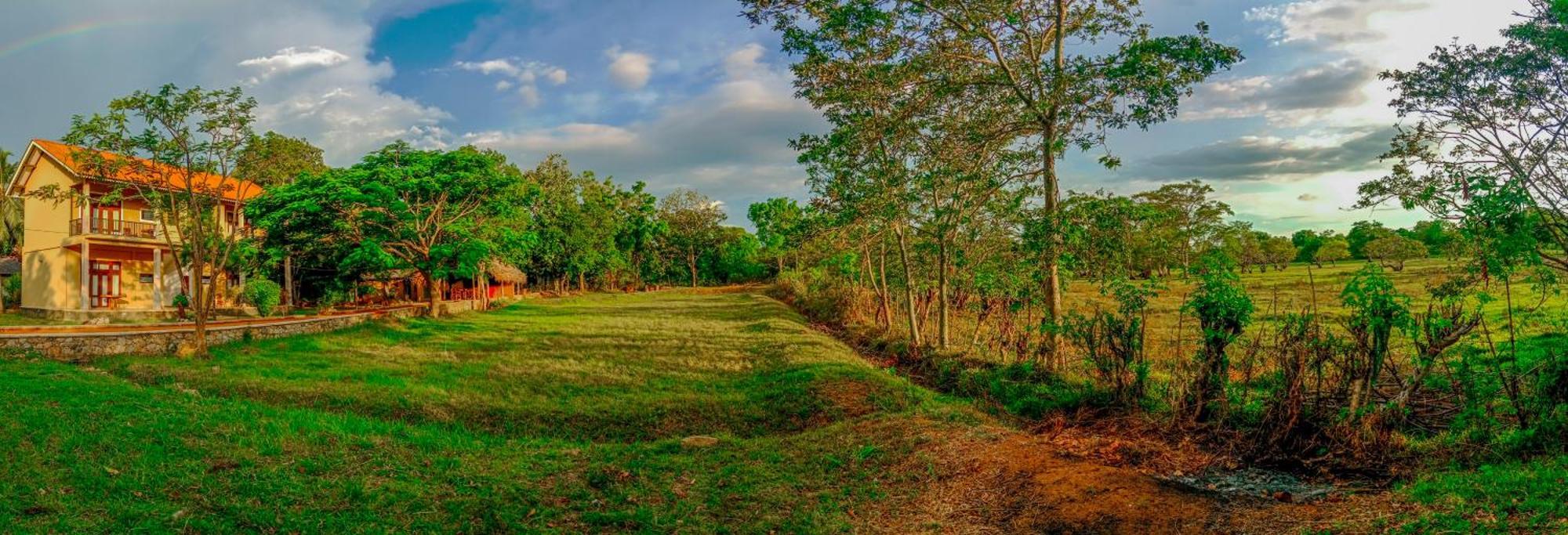 Sigiri Lanka Resort Сигирия Экстерьер фото
